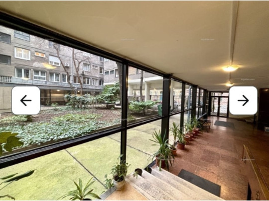 City Garden Studio
