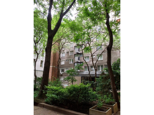 City Garden Studio